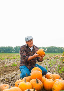 Farmer in field, next to pumpkin crop, Germany