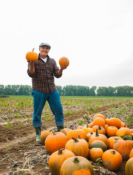 Farmer standing in field, holding pumpkins in hands, next to pumpkin crop, Germany