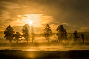 Yellowstone River and a row of lodgepole pine trees in Hayden Valley with the golden light of sunrise illuminating the mist on the water; Yellowstone National Park, Wyoming, United States of America