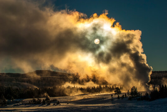 American Bison and Old Faithful with steam illuminated by the sun, Upper Geyser Basin in YNP, USA