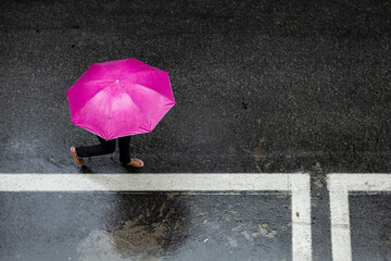 guarda-chuva