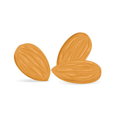basic vector set of almonds