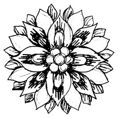 Stylized flower. Round floral geometrical mandala. Medieval Russian folk design. Hand drawn linear doodle rough sketch. Black silhouette on white background.