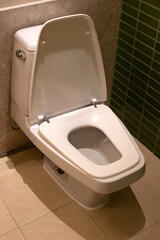 White toilet bowl in the bathroom.