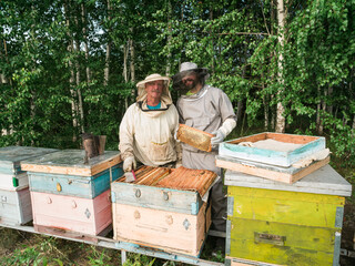 Beekeepers inspecting honeycomb frame at apiary at the summer day. Man working in apiary. Apiculture. Beekeeping concept.