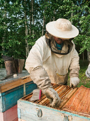 Beekeeper inspecting honeycomb frame at apiary at the summer day. Man working in apiary. Apiculture. Beekeeping concept.