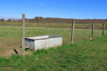 A metal trough in a field for sheep