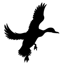 Silhouette of flying duck