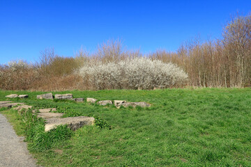 Obraz premium A colourful and picturesque woodland landscape with a small wall of stones in the foreground