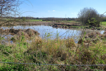 A view of Henhurst Lake in the North Kent countryside