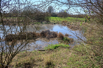 Henhurst Lake viewed through a tangles mess of thorny branches