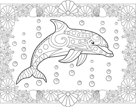 Antistress coloring book with a dolphin and a frame of seashells - a vector linear picture for coloring. Outline. Coloring book with marine mammal animal bottlenose dolphin.