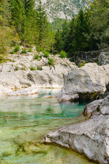 Naklejka na ściany i meble Beautiful turquoise Soca river in a forest with mountains in Slovenia. Perfect summer day.