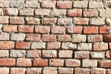 Old brick wall background. Free space for text and design.