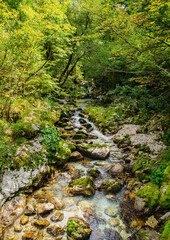 Fototapeta na wymiar Beautiful turquoise stream of Soca river in a valley. Forest Path in Slovenia. Perfect summer day.