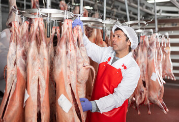 Fototapeta na wymiar Male butcher looking at mutton carcass in meat storage