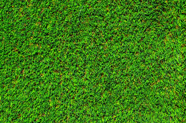 Green grass of a golf course as a natural texture background for design.Top view.Selective focus.