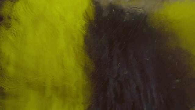 The big brush rolling on the car during a carwash with the water dripping on it. Pressure washing. Splashes on the windshield.
