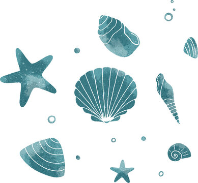 Seashells hand drawn illustration. Sea elements hand drawn illustration