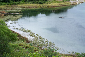 Peaceful landscape. View of the lake, shore, grass and forest. 