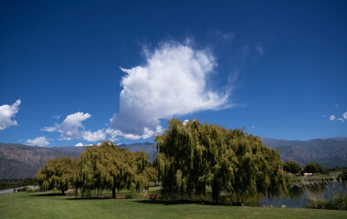 View of the placid artificial lake, willow trees and mountains in the background, under a beautiful sky.