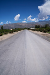 View of the road across the vineyard. The Andes mountains in the background.