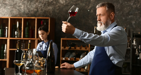 Mature sommelier with his student working in wine cellar