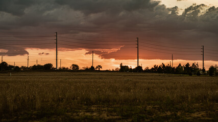 Obraz premium sunset in the field