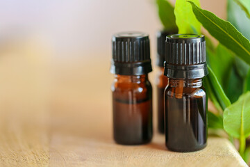 Laurel leaf oil bottles set on wood table with green sprigs of bay leaf.Essential oil set. Aromatherapy and essential natural oils
