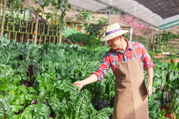 Asian male farmer using a tablet at the organic vegetable plots inside the nursery.