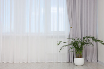 Stylish room interior with houseplant and beautiful window curtains. Space for text