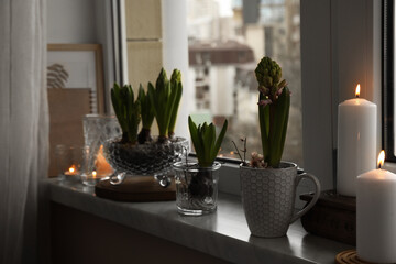 Beautiful bulbous plants and burning candles on windowsill indoors. Spring time