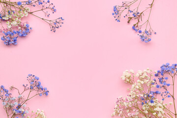 Frame made of gypsophila flowers on pink background