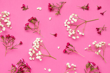 Beautiful gypsophila flowers on pink background