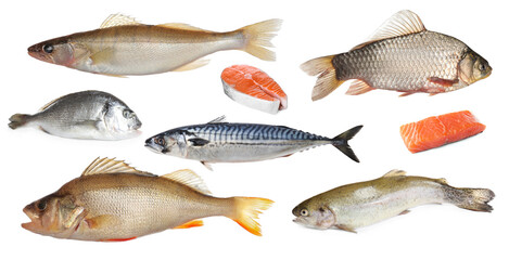 Collage with different types of raw fish on white background