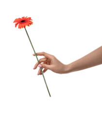 Woman with beautiful flower on white background. Hand care concept