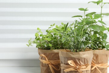 Fototapeta na wymiar Different aromatic potted herbs on windowsill indoors, closeup. Space for text