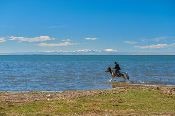 Person riding a horse