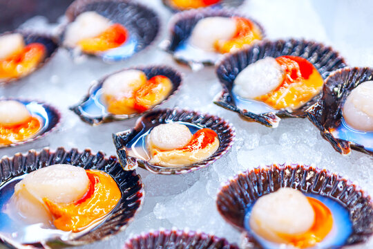 Oyster on ice . Row seafood oysters on cold