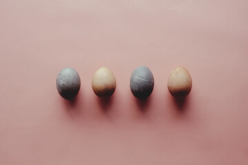 close up shot of a row of colored eggs