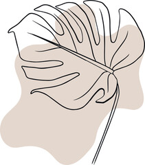 Monstera Leaves Line Art and Abstract Shapes