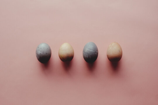 close up shot of a row of colored eggs