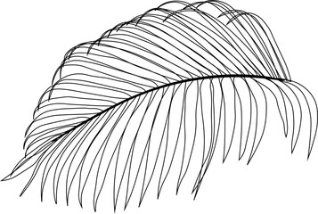 Obraz premium Palm Leaf