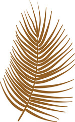 Obraz premium Palm Leaf