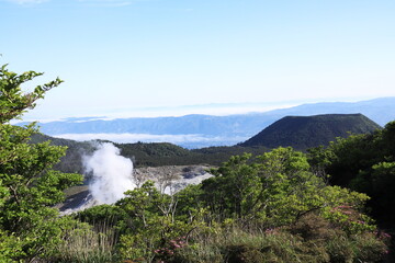 森の中から眺める霧島の山