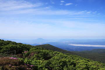 Fototapeta premium 韓国岳から眺める桜島の風景