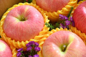 close up pink apple in yellow wrap bubble, healthy food