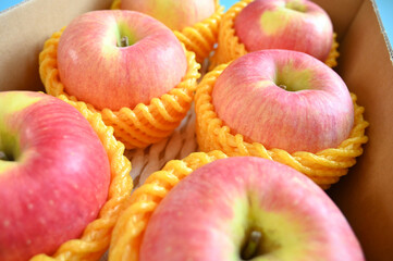 close up pink apple in yellow wrap bubble, healthy food in the box