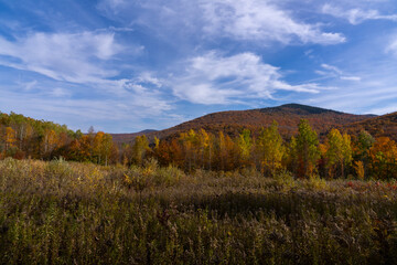 Fototapeta na wymiar Fall in Vermont mountains 