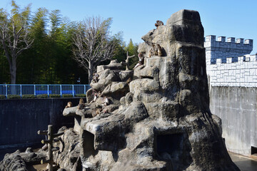 市川市動植物園の猿山